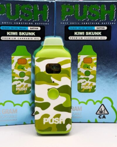 PUSH 2G DISPOSABLES KIWI SKUNK(Sativa)