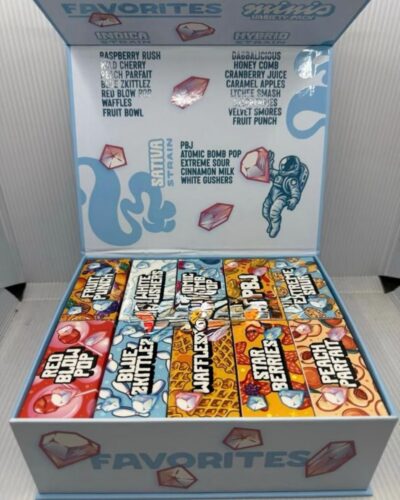 Favorites 2G Minis Disposable