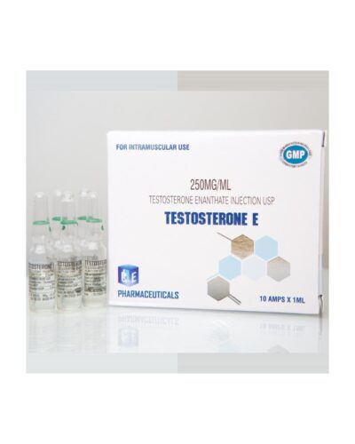 Testosterone Enanthate (Testosterone E)